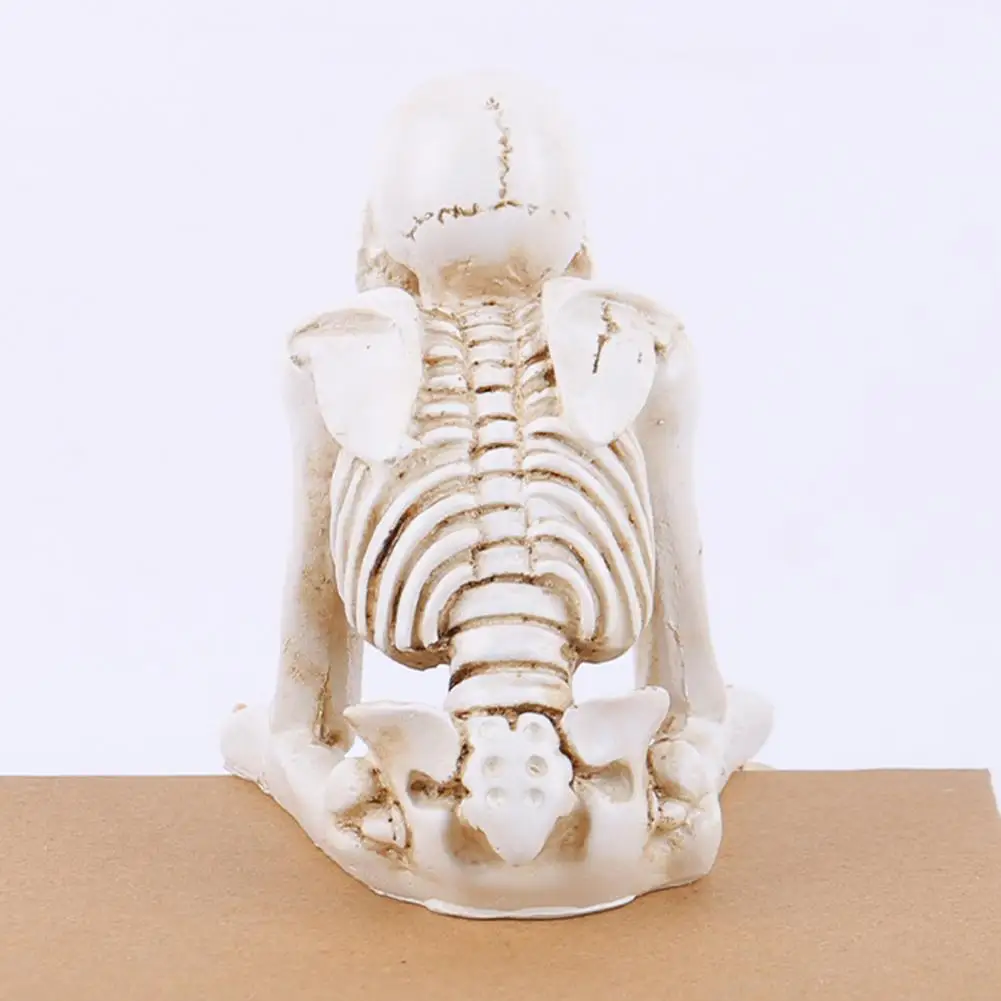 Home Decor Realistic Skeleton Figurine Statue Spooky Halloween Collectible Ornament Haunted House Skull Decoration for Party