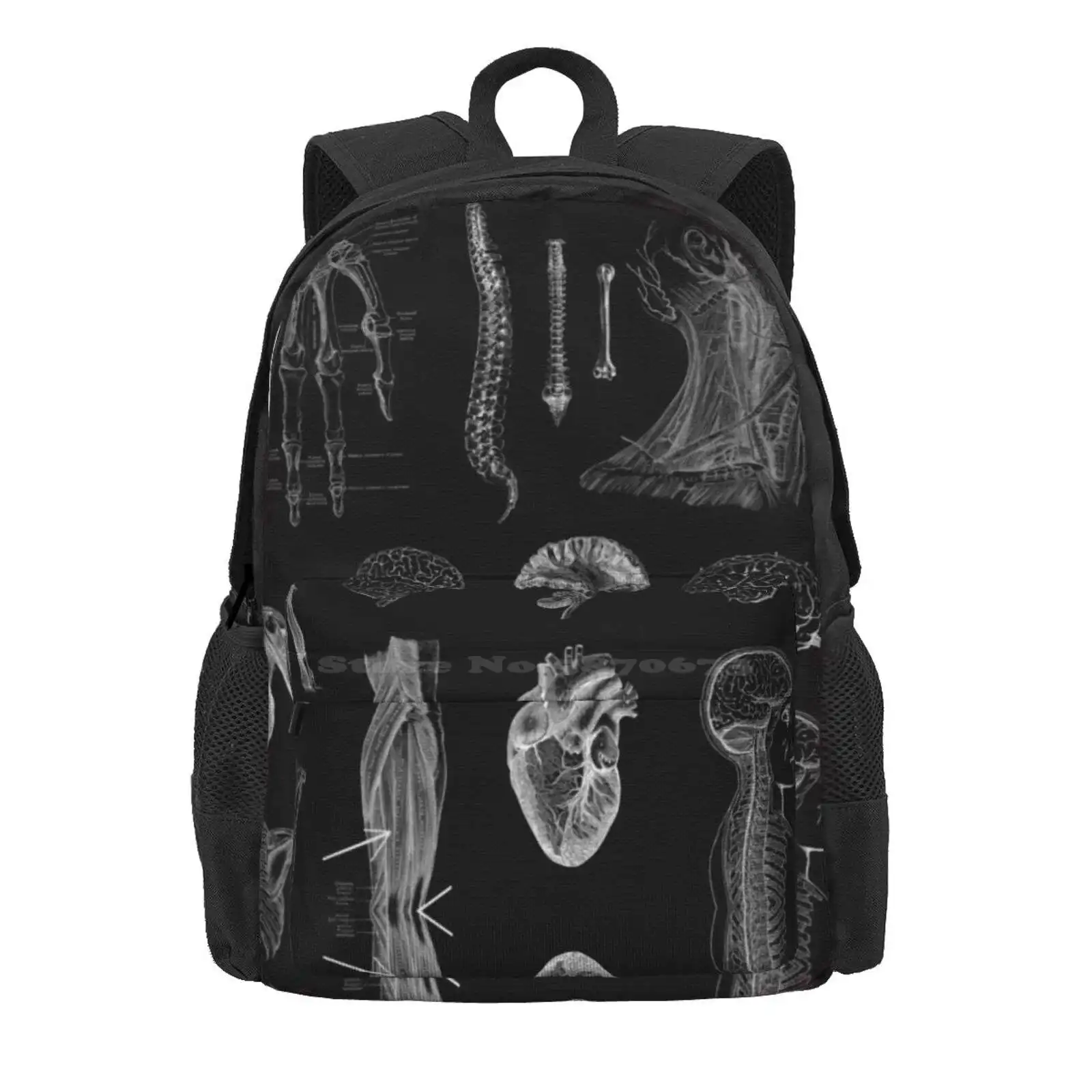 Vintage Anatomy Print Hot Sale Schoolbag Backpack Fashion Bags Gothic Horror Spooky Anatomy Anatomical Heart Vintage Diagram