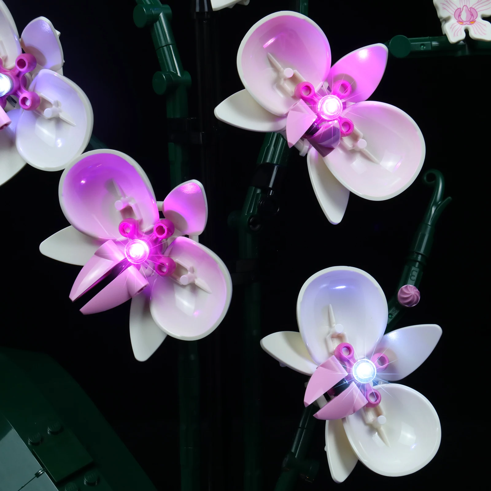 Lazishi LED światło dla 10311 orchidei oświetlenie DIY zabawki (nie obejmują modelu)