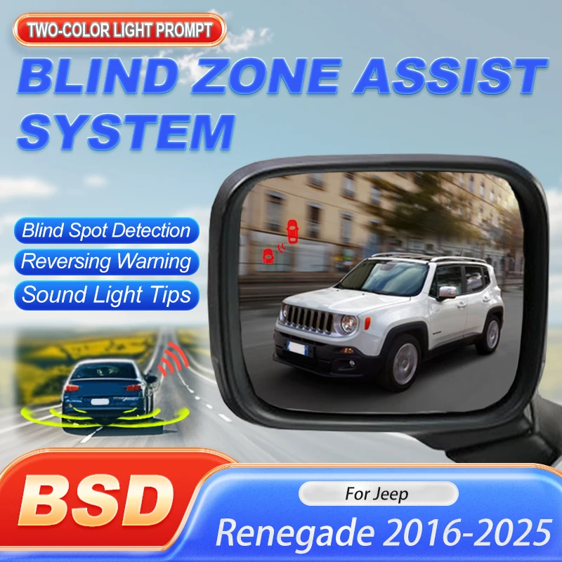 Car Alarm Blind Spo…