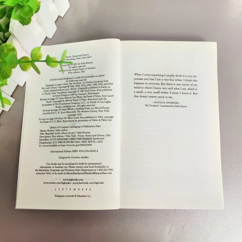 Bellissimo mondo dove sei di Sally Rooney Romanzo inglese