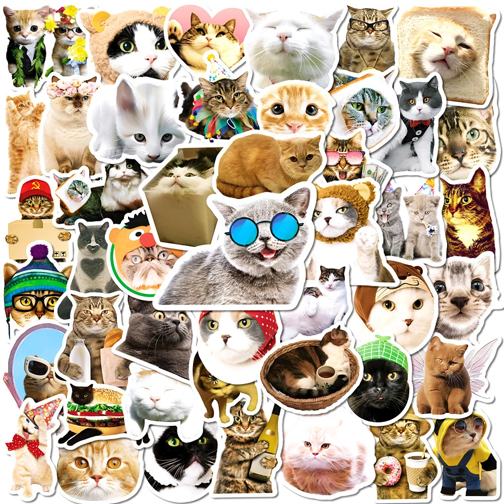 

10/30/50/100pcs Funny Kawaii Cat MEME Stickers Decoration Decals Skateboard Laptop Motorcycle Car Waterproof Sticker Kids Toy