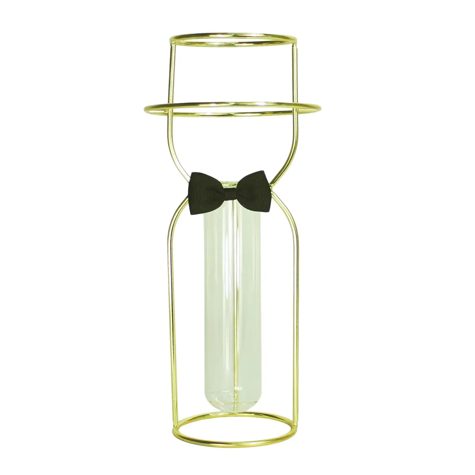 Nordic Test Tube Iron Frame Plants Flowerpot Dried Flower Plant Propagation
