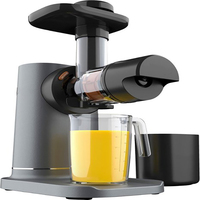 Automatic Multifunctional Juice Separation Household Portable Fruit and Vegetable Low Speed Noise Juicer