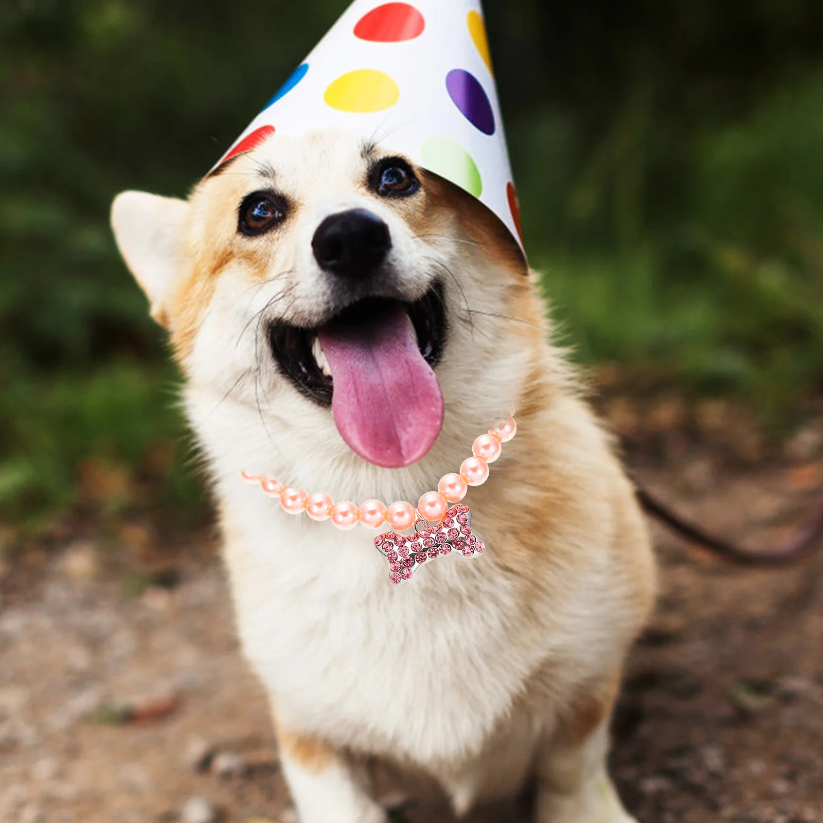 

Rhinestone Pet Collar for Cats Dogs Jewelry Chain Necklace Dainty Beaded Wedding Accessory