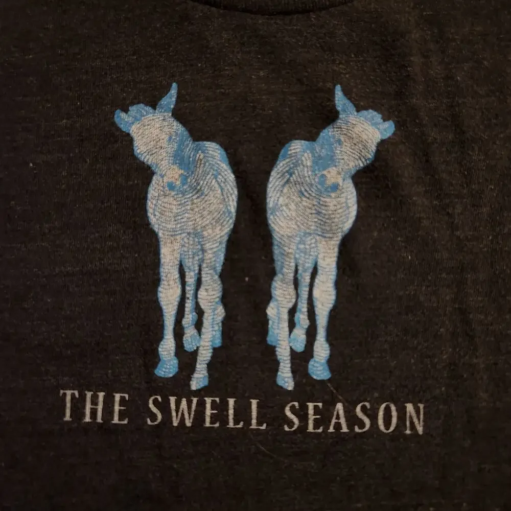 Vintage The Swell Season Tour T-Shirt Ladies Large Calexico Iron & Wine