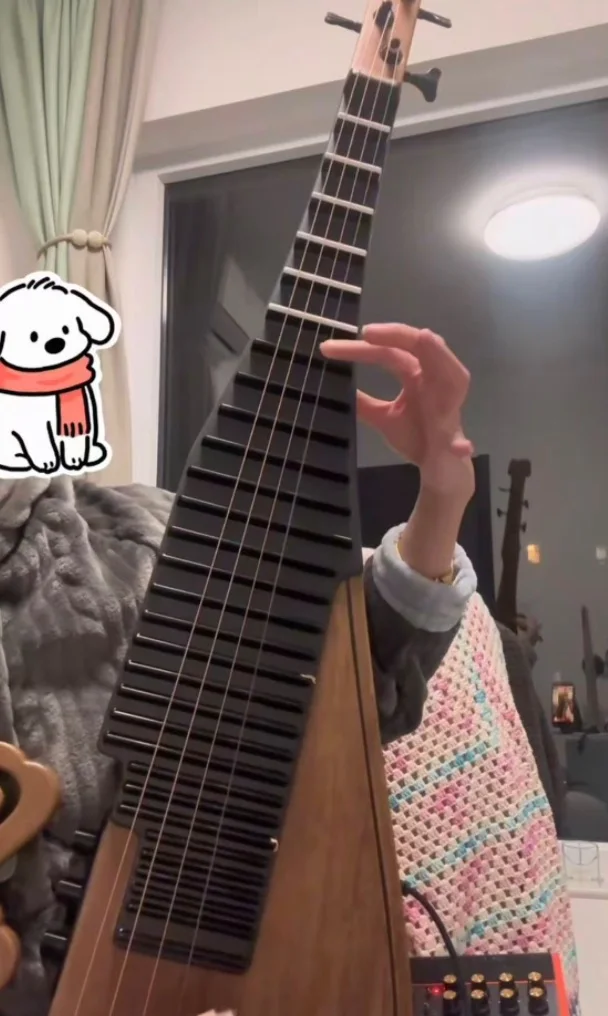 Electric Pipa  China lute customization Chinese string instruments
