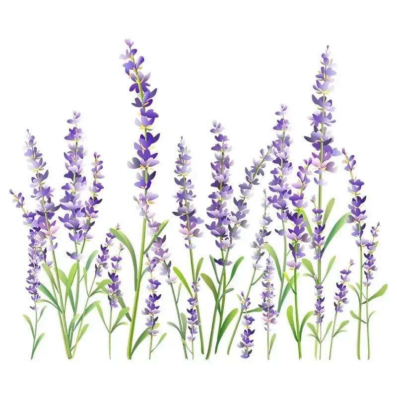 Plants Flowers Lavender Wall Stickers Toilet Wall Stickers Background Wall Decorations Bathroom Wall Stickers Self-adhesive