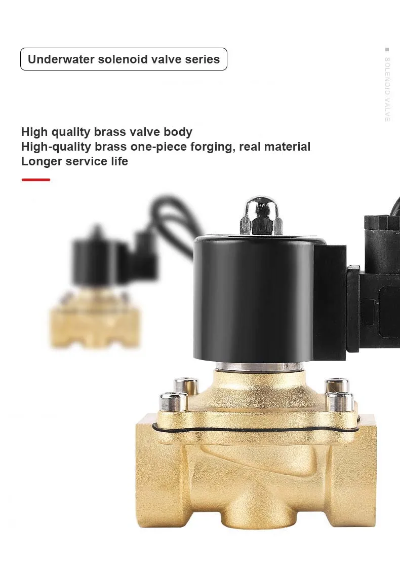 2" Messing Unterwasser Magnetventil Brunnen Magnetventil Wasserventil 220V 12V 24V – Detail 3