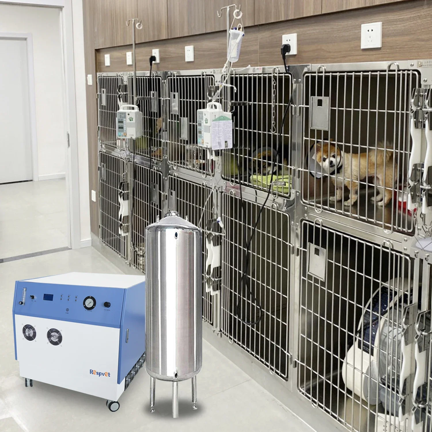 20L high-pressure 4-bar concentrator for animal therapy