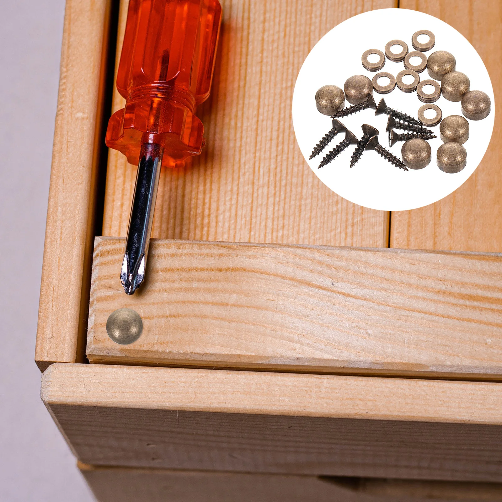 

Decorative Screws with Caps Mirror Fixing Hardware Self Tapping Fasteners for Sign and Advertising Mounting Solutions