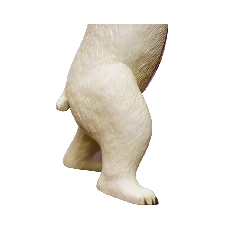 4D Vision Polar Bear Anatomy Model Realistic Polar Animals Model Figurines Toy Home Decor Collection Gift