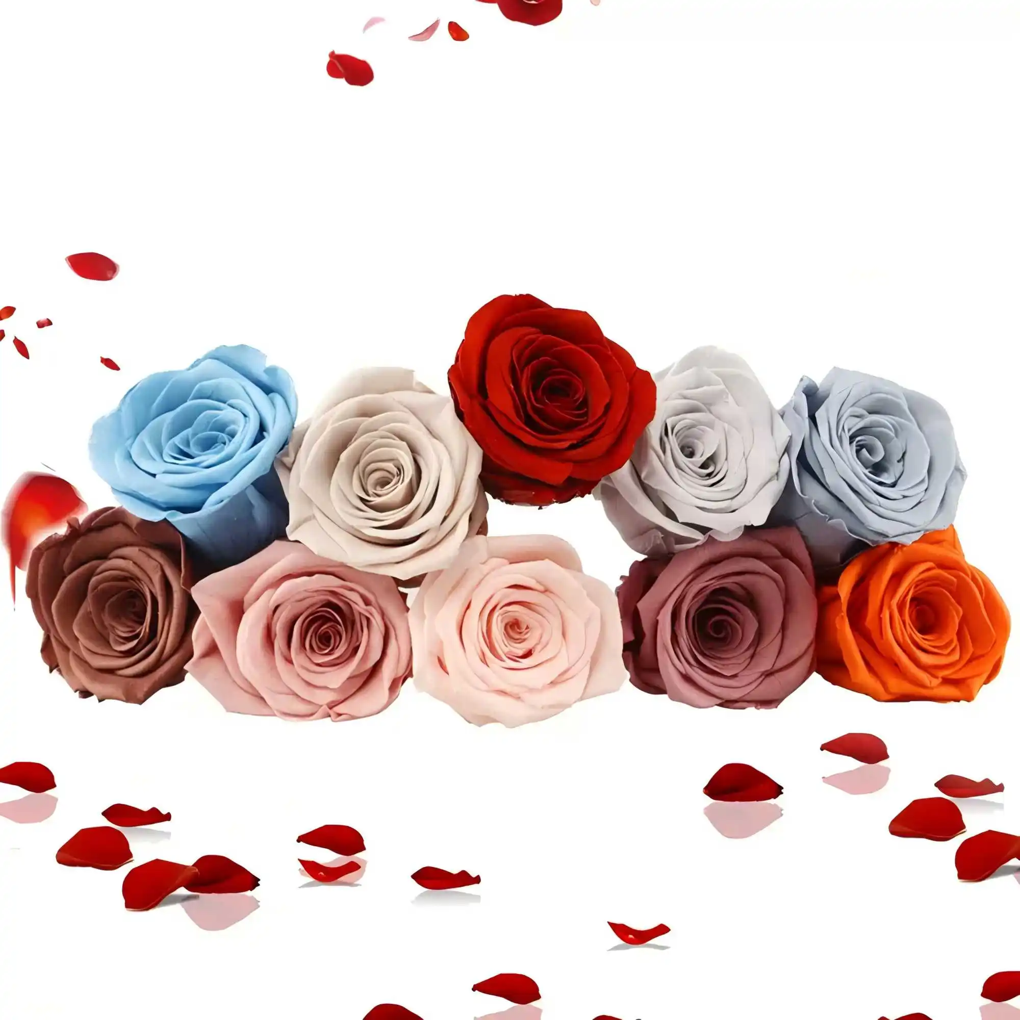 Thumbnail 2 - #39 Top Dried Flowers Picks for Every Budget