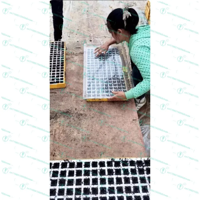 Hole plate Seedling device Vegetable tobacco seed Pepper flue-cured tobacco seeder Floating plate Sowing artifact Seed machine