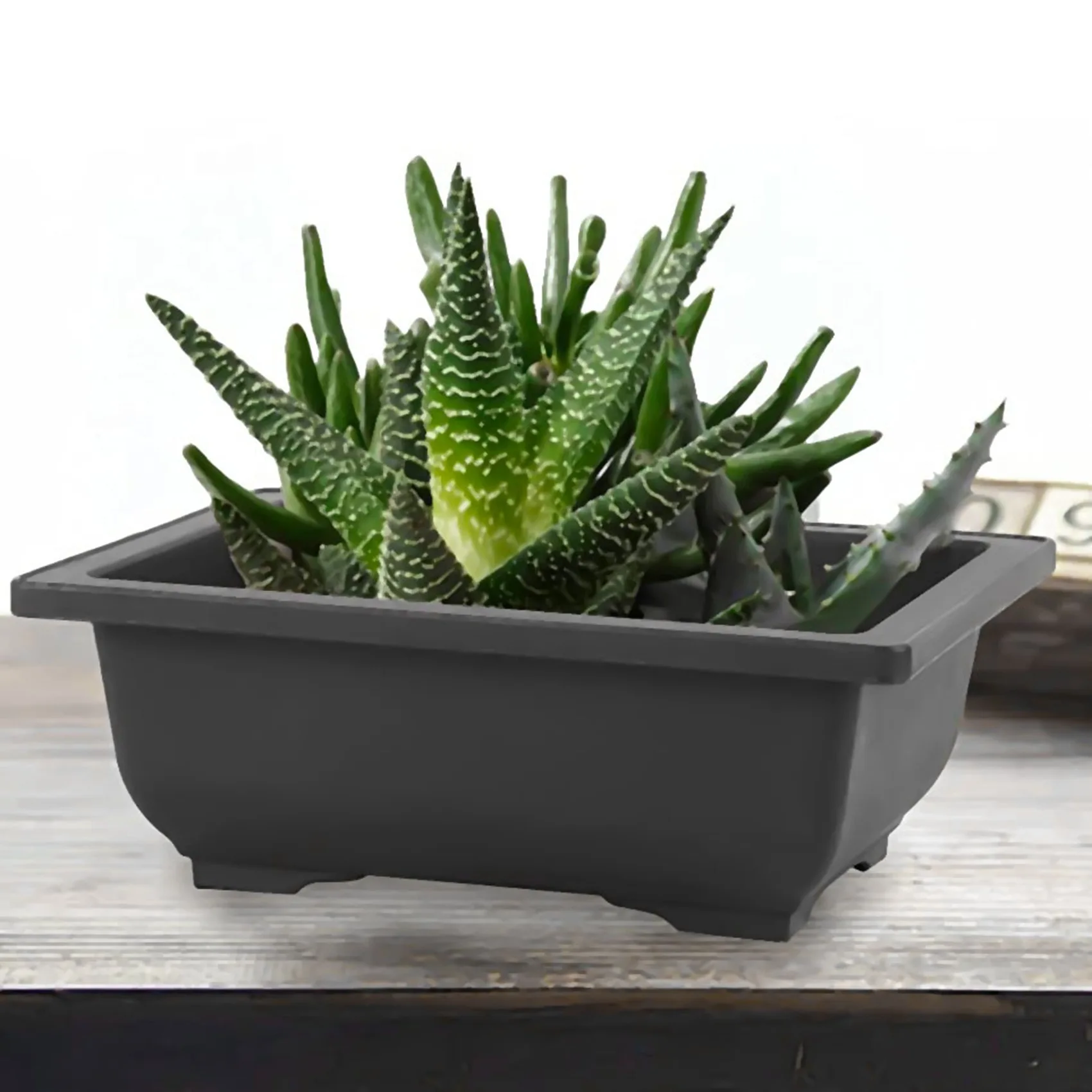 

BAAG-6 упаковок тренировочных горшков для бонсай с подносом, пластиковый горшок для выращивания растений бонсай для сада, двора, гостиной 22,5X16,5 см