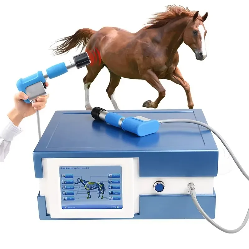 

Portable Veterinary Medical Shockwave Therapy Machine Veterinary Equine Shockwave Therapy Device for Horse