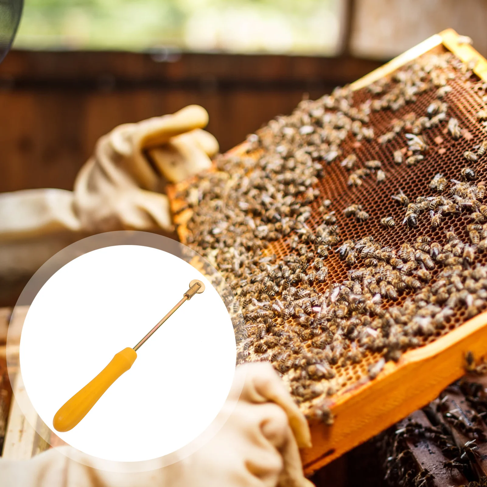 

Plastic Handle Beehive Wire Embedder Roller Beekeeping Tool Durable Feeding Accessory Bee Tool Beehive Wire Embedder