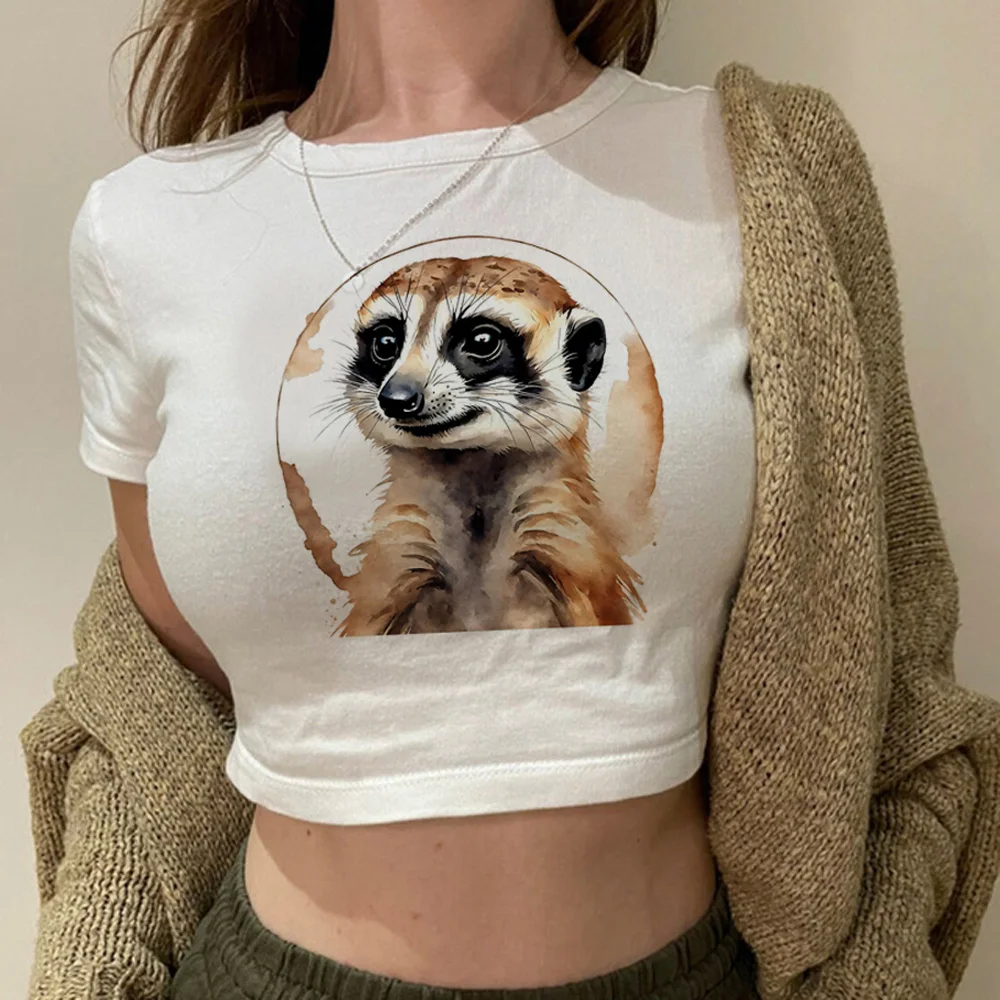 Meerkat graphic  goth crop top girl Kawaii fairycore graphic  korean fashion tshirt