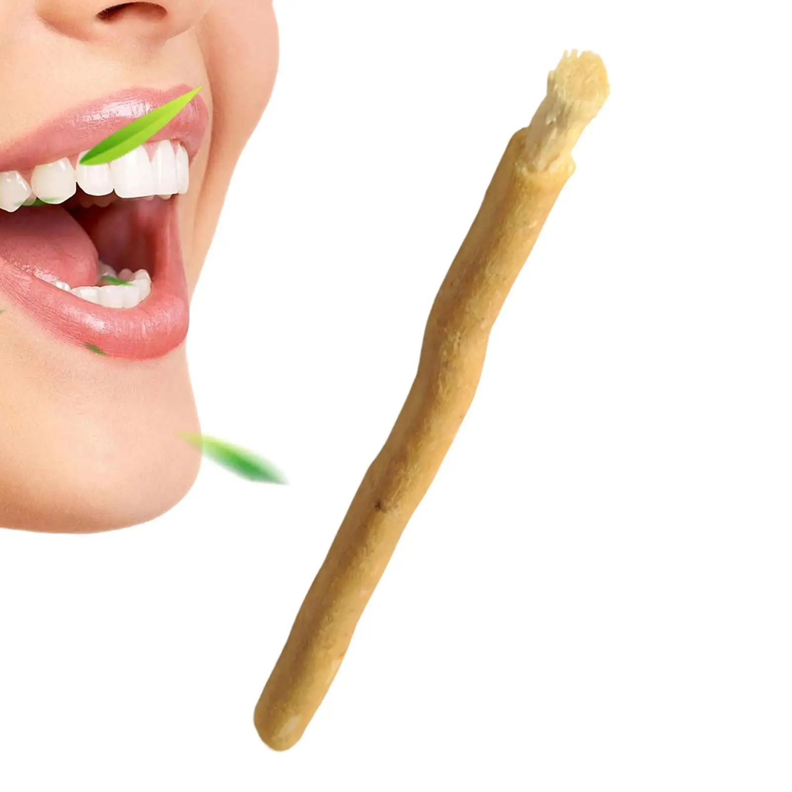 Natural toothbrush Organic toothbrush sticks African Teeth Cleaning Sticks Fiber Bristles Brush for Dad Grandparent Mother
