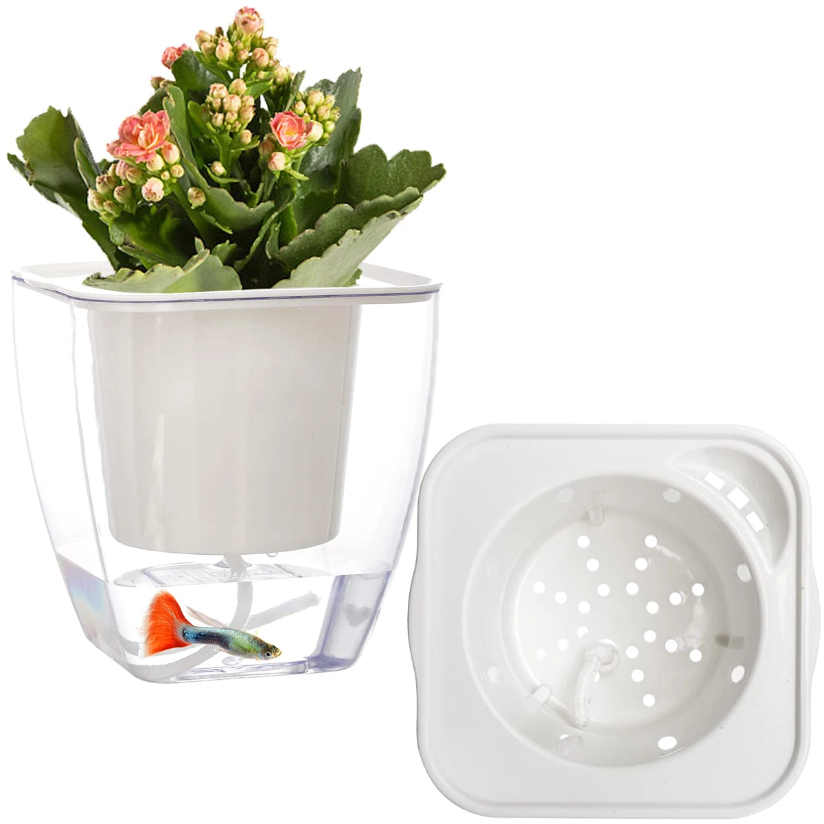 6-個のプラスチック自動散水植木鉢完全に透明な植木鉢屋内植物用排水装置吸水ロープ