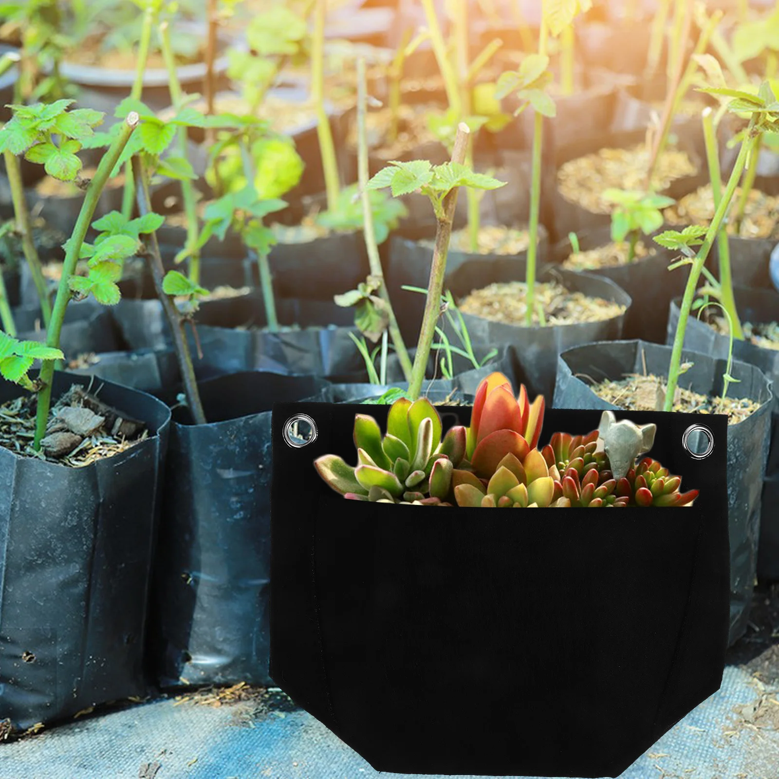 

3Pcs Fabric Plant Grow Bags Hanging Herb Pouch Vertical Garden Planter Non-Woven Nursery Bags for Vegetables Flowers