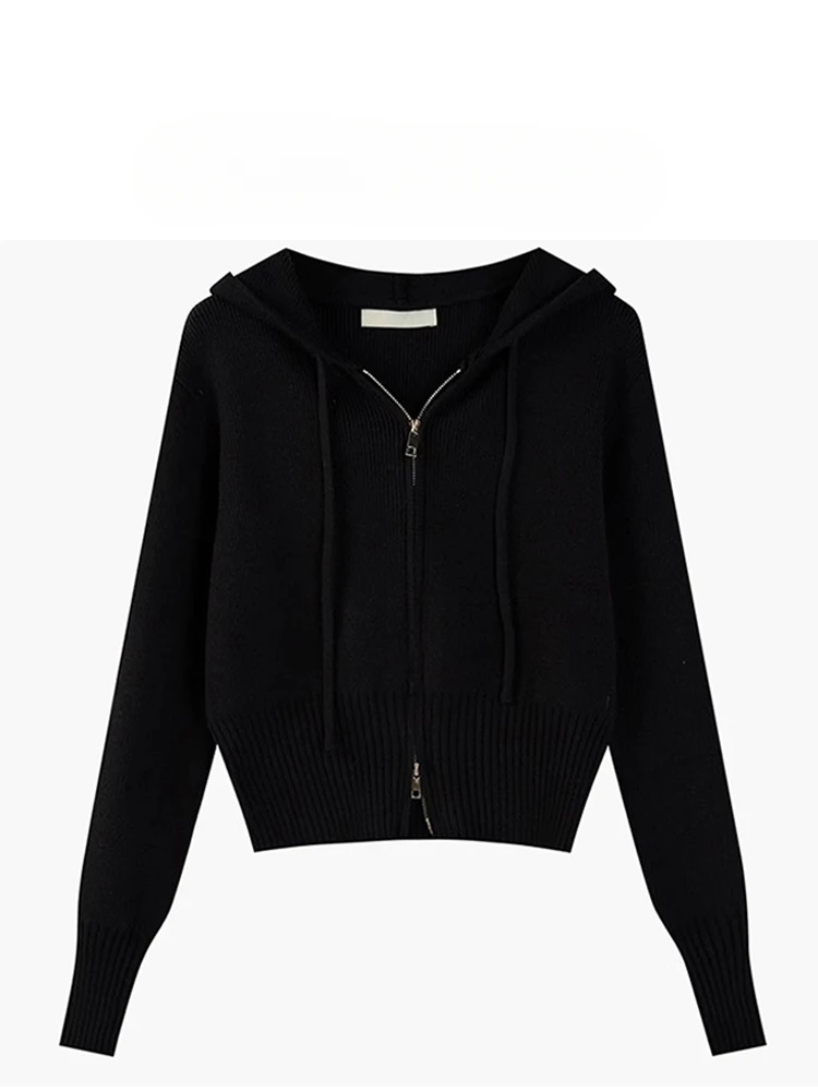 Short Sweater Cardigan Hooded Knitted Sweater Women's Autumn and Winter Korean Version Jacket