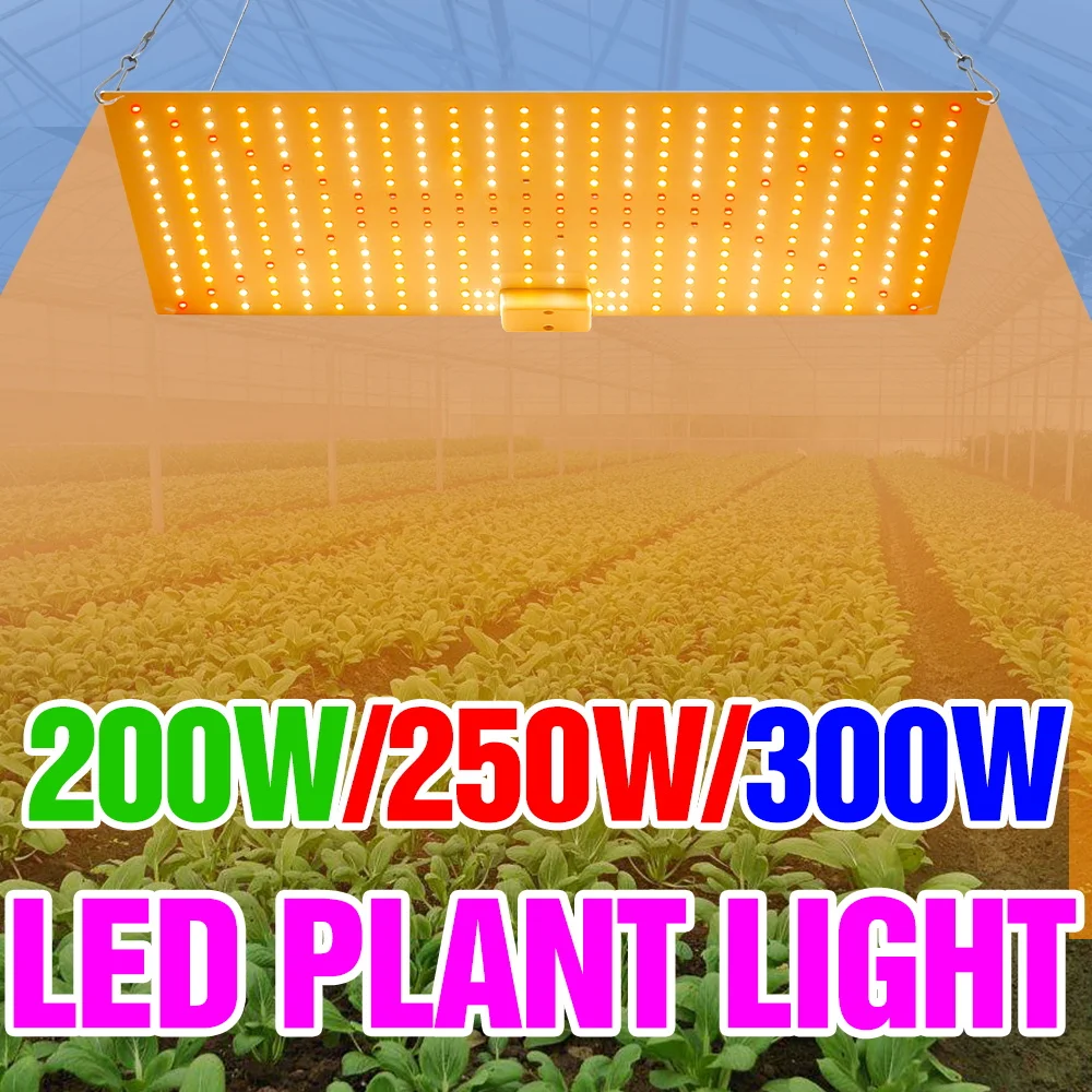 

Светодиодная лампа для растений 300 Вт, полный спектр, имитация солнечного света, 100-277 В, Quantum Board, для теплиц, выращивания овощей и семян