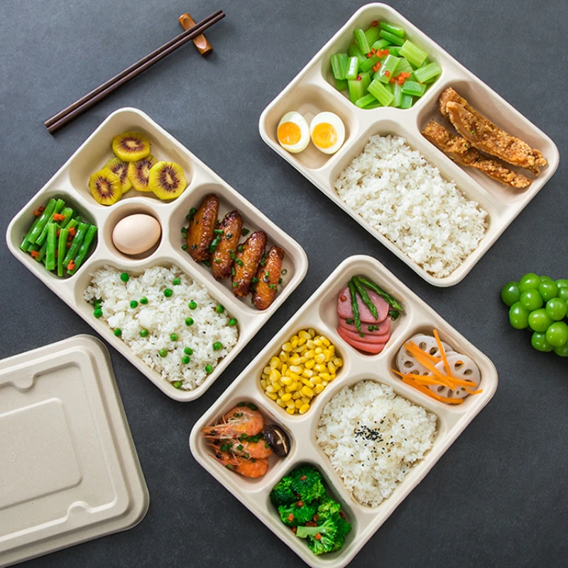 Large Capacity Disposable Packaging Box Multi Compartment Paper Lunch Box Environmentally Friendly and Biodegradable Lunch Box