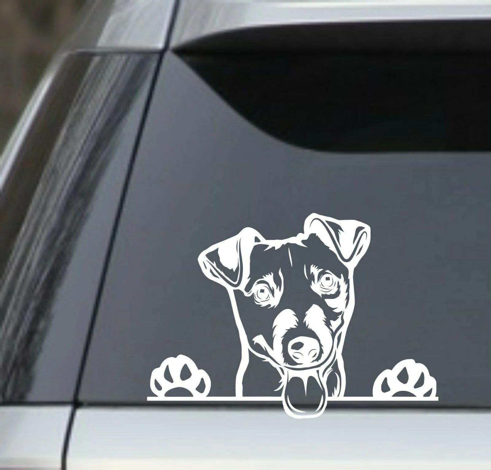 

For 7.5" Peek a Boo Jack Russell Terrier vinyl Decal Sticker