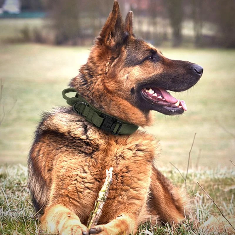 Halsband Duurzame tactische riemset Verstelbare militaire halsband voor huisdieren Middelgrote grote hond Duitse herder Trainingsaccessoires