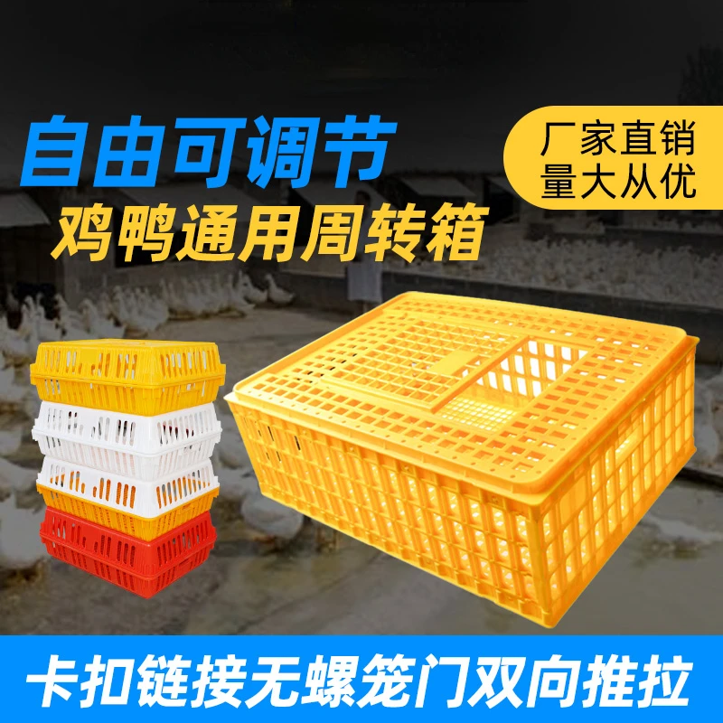 Chicken Cage Turnover Box Plastic Transport Cage Poultry Turnover Box Chicken Duck Goosepigeon Cage Rabbit Cage Breeding Cage