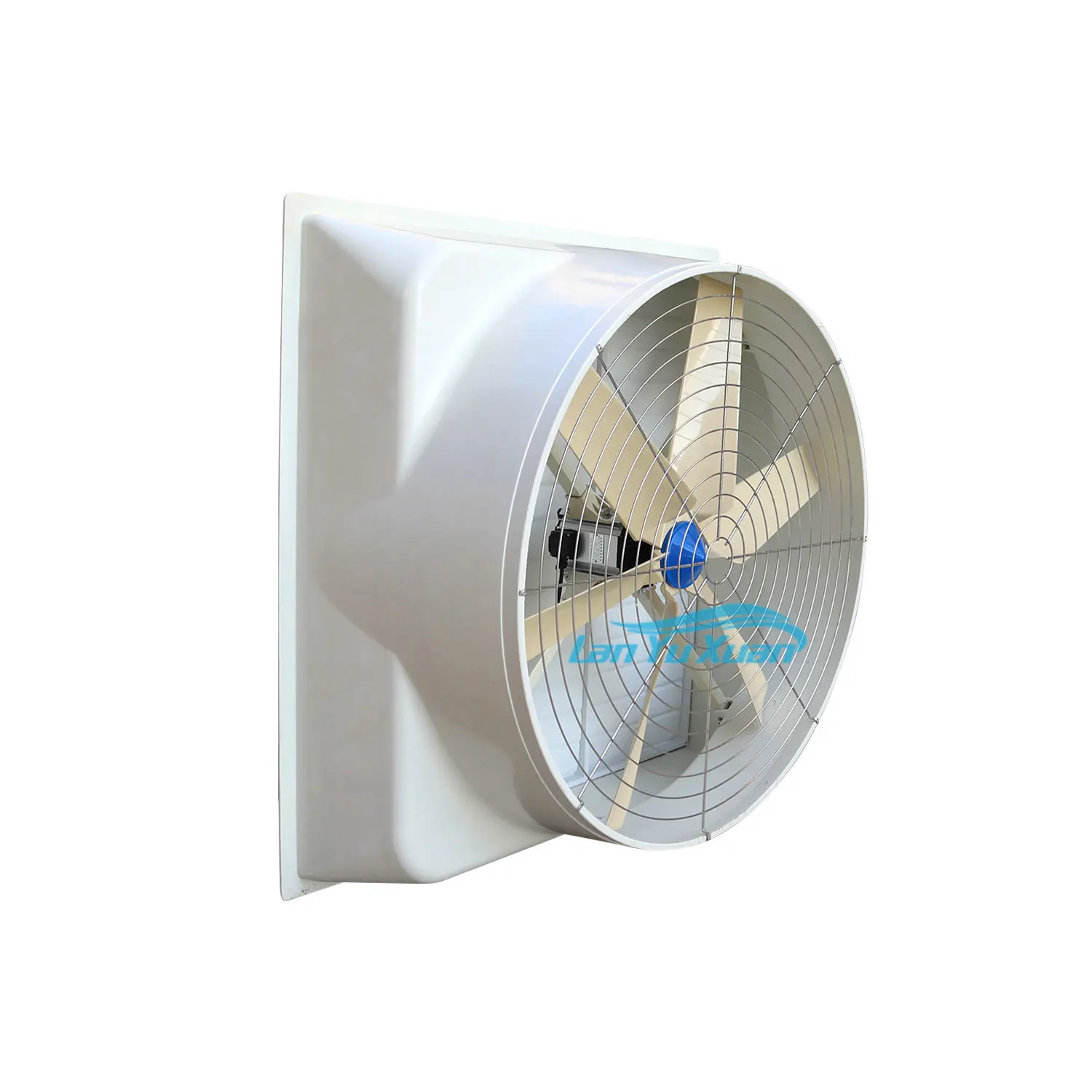 Professional Factory Industrial Ventilation Fan Roof  Wall Exhaust  for Commercial Public Place