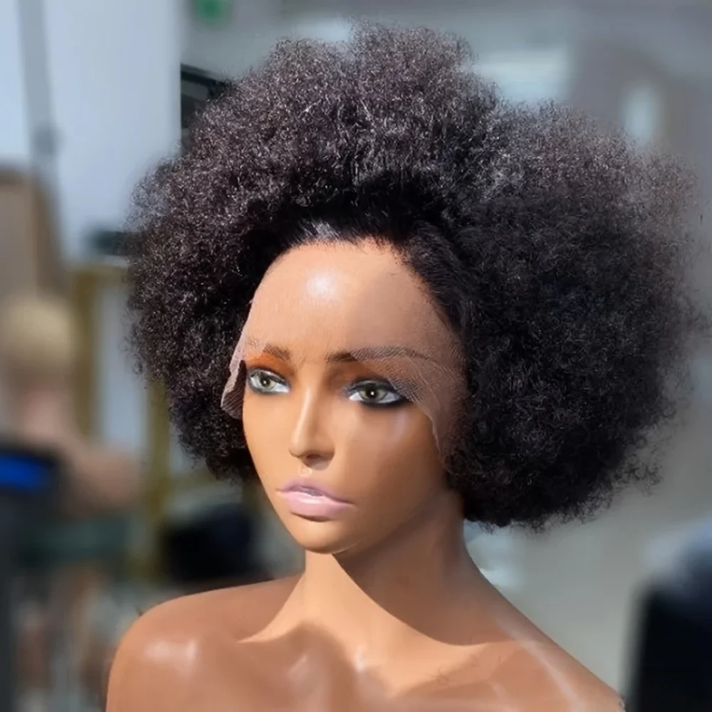 

Парик из человеческих волос Remy 13x4, афро-пуховый парик на кружеве спереди - предварительно выщипанный натуральный черный/кудрявый вьющийся с прозрачным кружевом