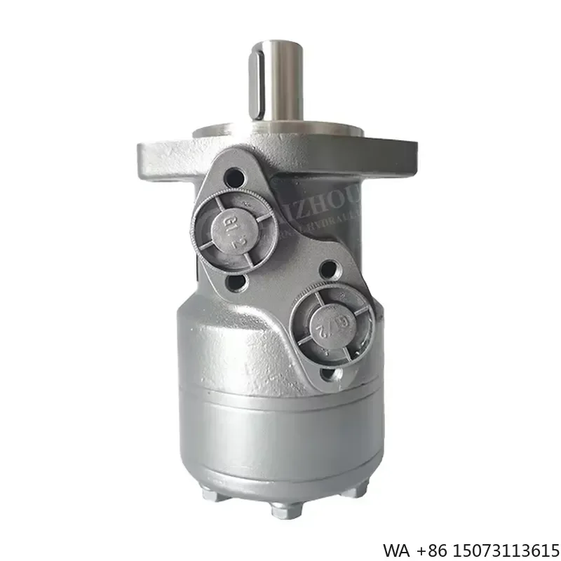 for Eternal Hydraulic OMP Series Cast Iron High Pressure Low Speed High Torque Hydraulic Motor 1500rpm