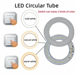 Adjustable Color T9 LED Circline Light Bulb 8 Inch 12Inch 230V FC8 T9 Replacement for 22W Circle Fluorescent Lamp Fixture G10Q