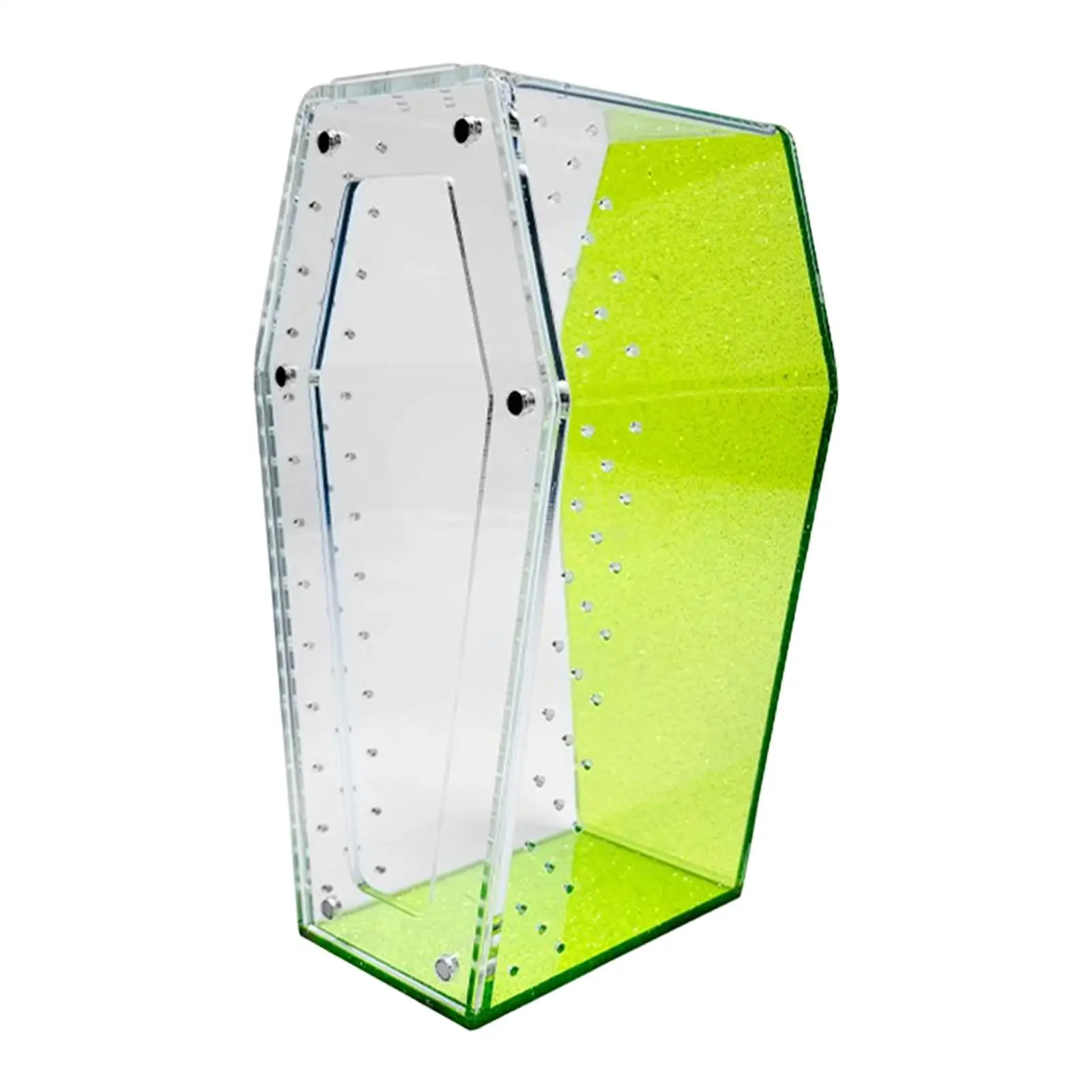 Jumping Spider Enclosure Tarantula Cage Ventilated Vivarium Acrylic Reptile Terrarium for Tarantulas Mantises Frogs Praying