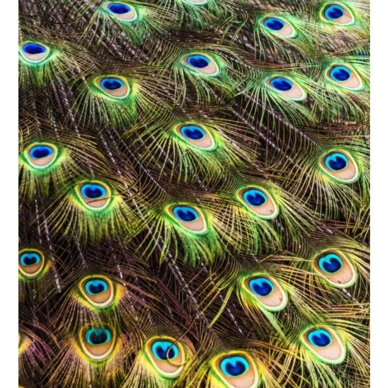 Hobbywing Ezrun 701…