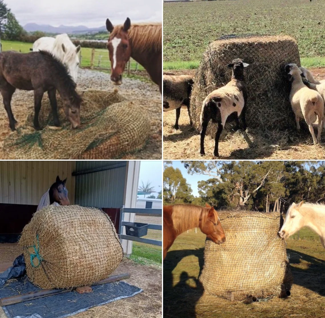 6x6ft تغذية بطيئة القش صافي ثقب صغير الحصان جولة بالة المغذية #2