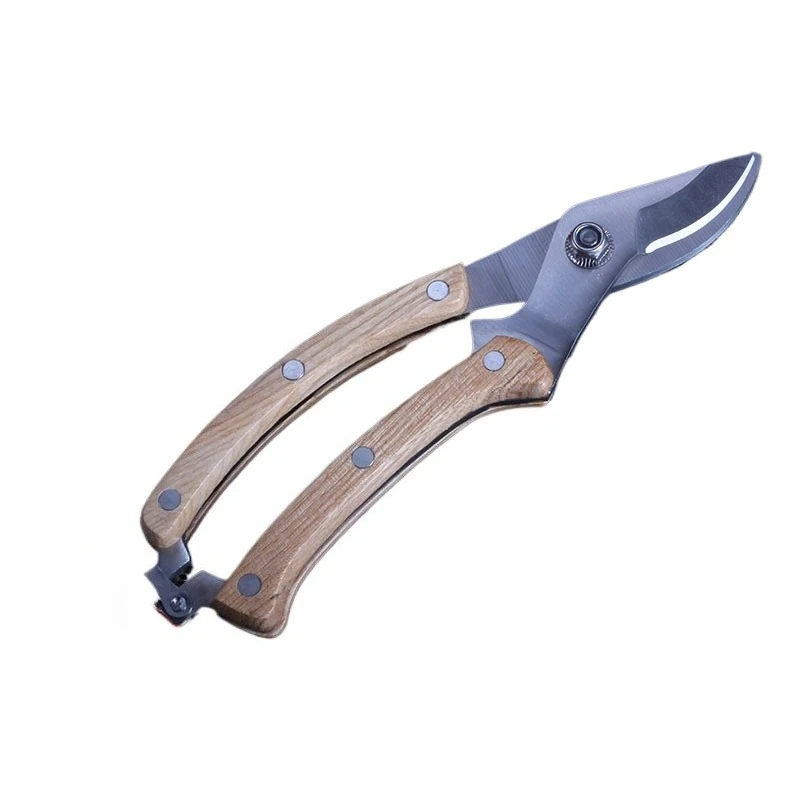 For Special Scissors for Pruning Flower Branches, Stainless Steel Fruit Tree Pruning Shears, Gardening Flower Shears