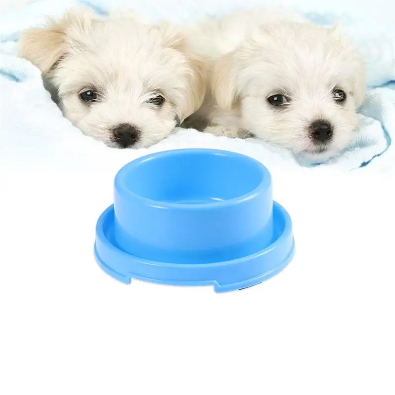 Bowls Bowl Dog Cat Food Pet Feeding Ant Water Proof Feeder Anti Pets Puppy Dish Outdoor Drinking Stainless Dispenser Set Dogs