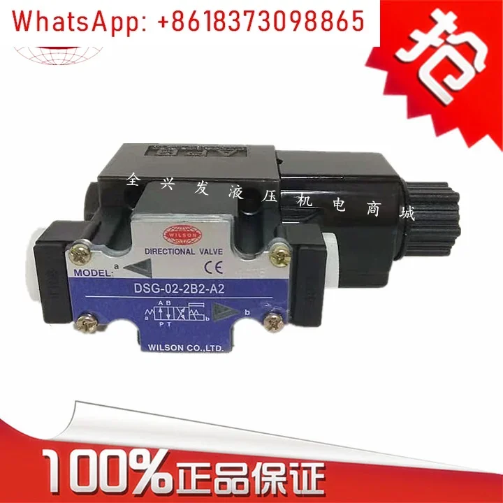 WILSON DSG-02-2B2/2B3/2B8/2B2L/2B2A-A2/D2 Solenoid Valve