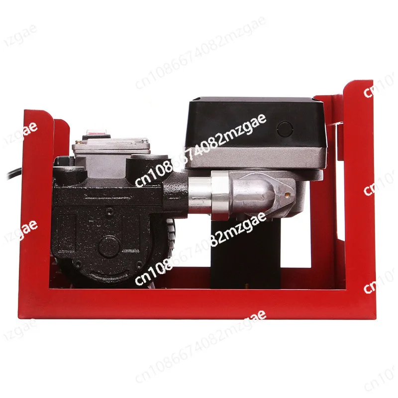 Portable Electric Oil Pump Set for Fuel Transfer, DC Submersible Small Transfer Pump with 550W 220V Power Supply