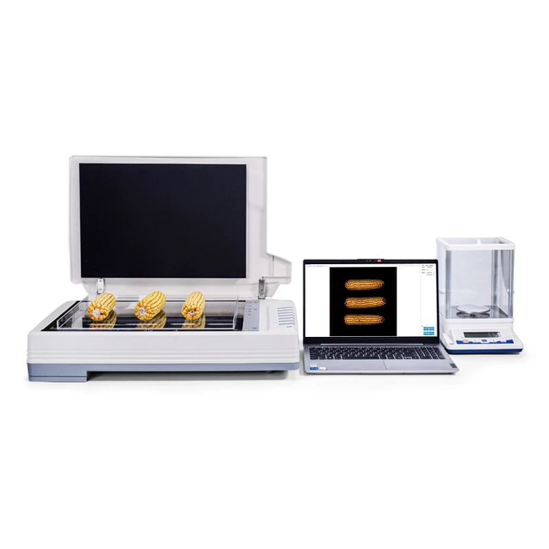 Maize Seed Examination And Analysis System Maize Whole Ear Analyser Seed Examiner Section Analysis System