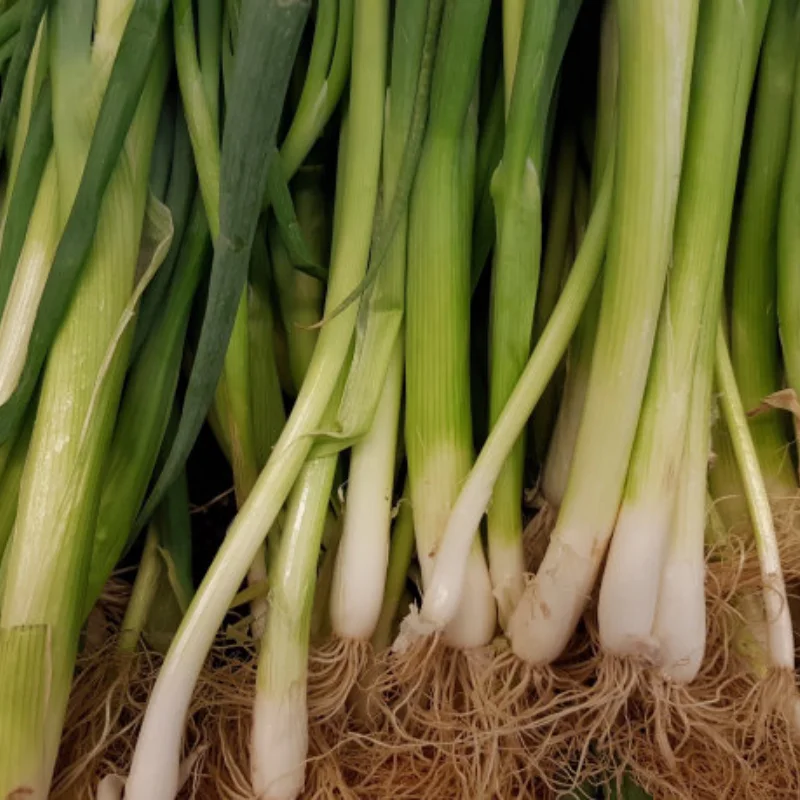 

MJX Hyper Go 14301 14303 Металлическая рулевая группа в сборе с подшипниками Рулевая тяга для 1/14 Детали для обновления радиоуправляемого автомобиля