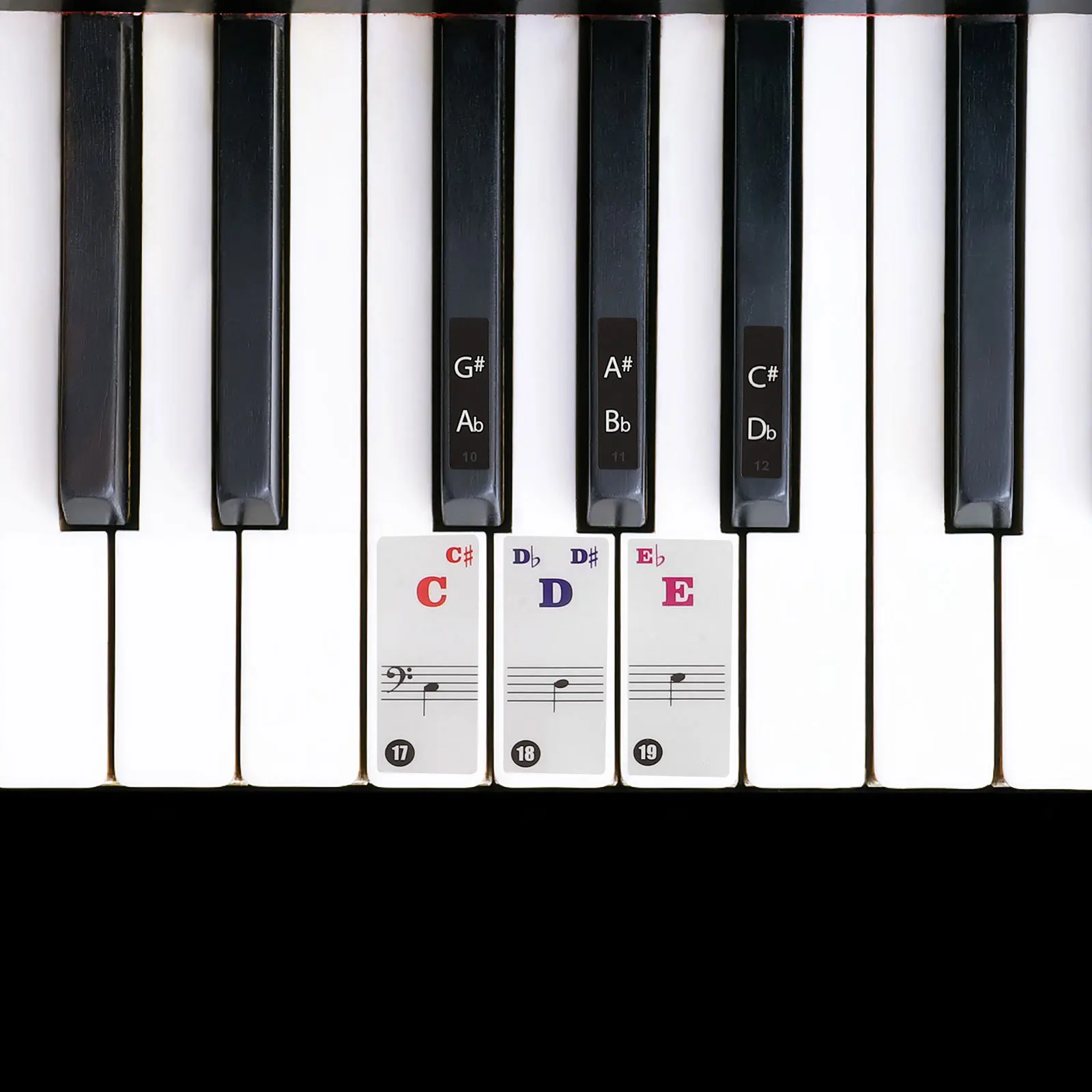 

2 Sheets Adhesive Piano Stickers Professional Design Smooth Finish for Electronic Piano Key Labeling Educational Music