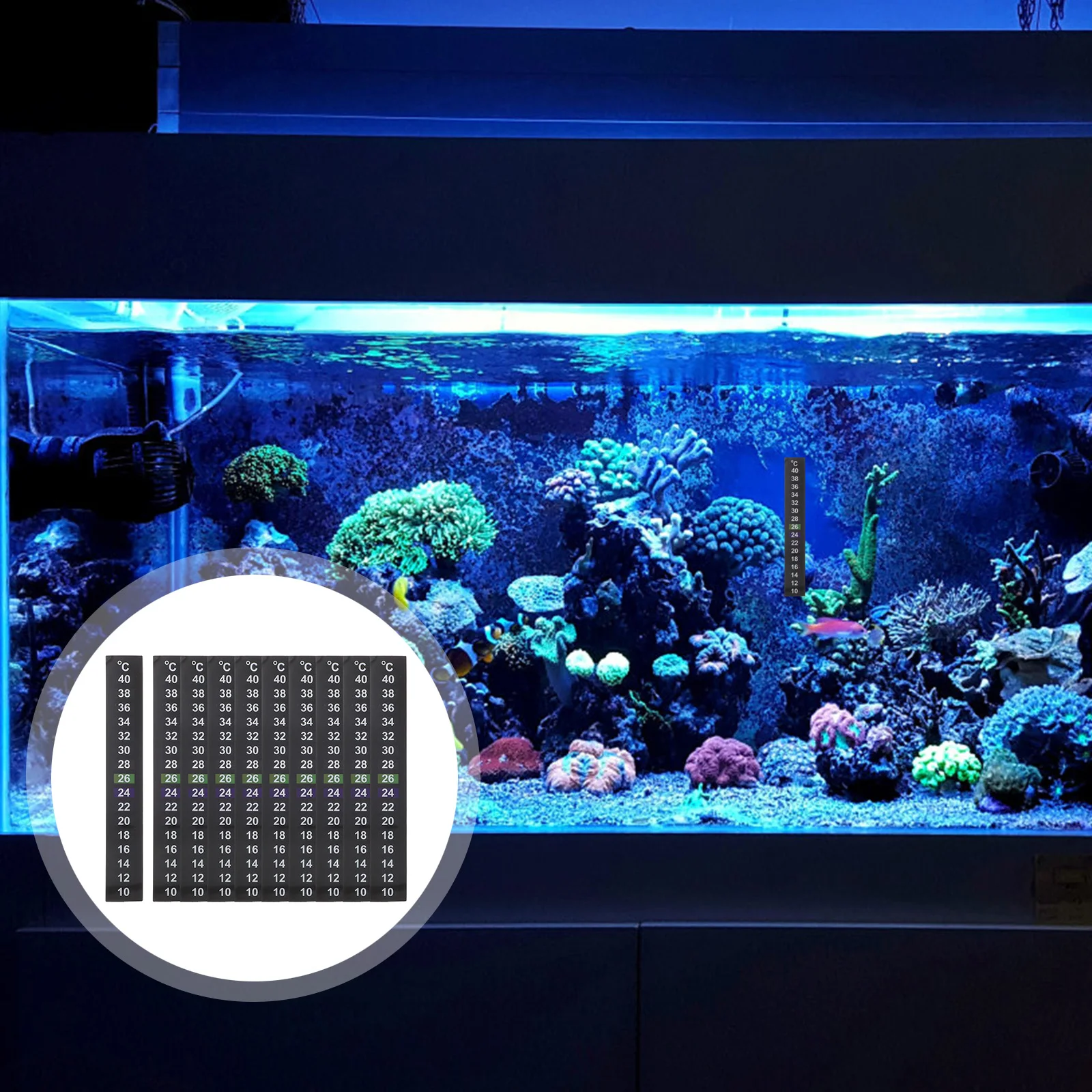 

10 Pcs Aquarium Thermometer Sticker 10℃ to 40℃ Fish Tank Temperature Strip Liquid Crystal Stick On Thermometer for Storage