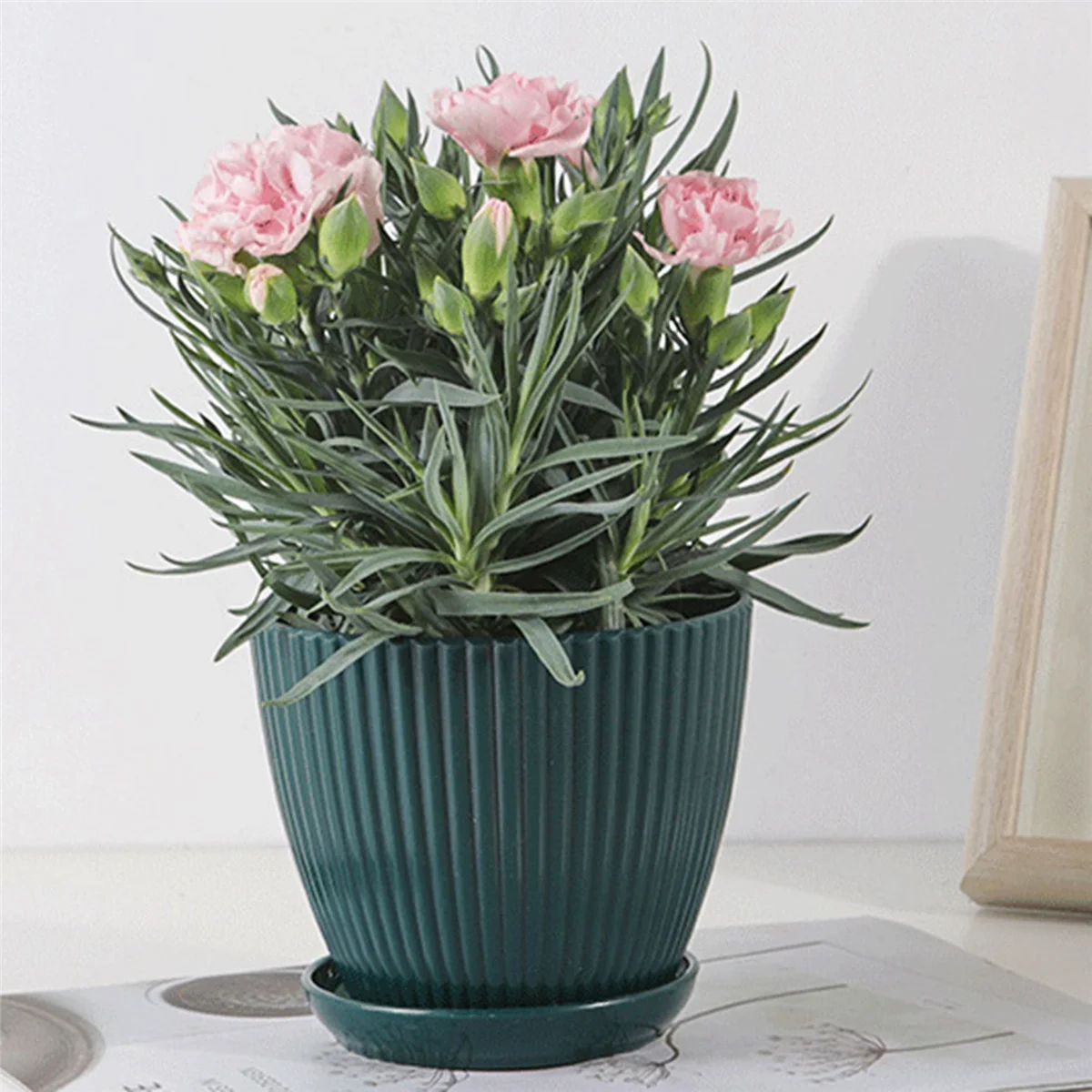 

plastic rackPlastic Planter Pots for Plants, 25 Pack 6 Inch Flower Pots with Drainage Holes and Saucers, for Indoor Outdoor D