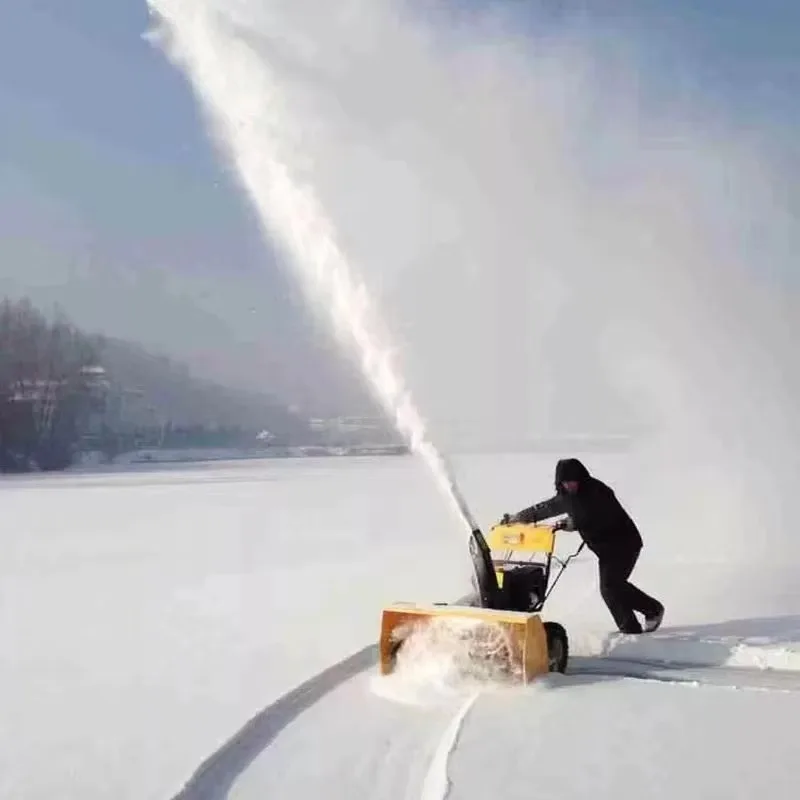 Hand Push Garden Pr… - image