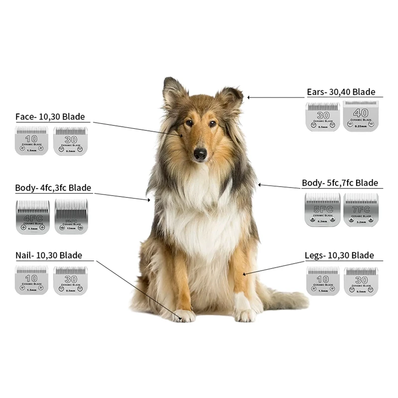شفرة سيراميك احترافية قابلة للفصل للكلاب الأليفة متوافقة مع معظم ماكينة قص الحيوانات من سلسلة Andis وOster A5 وWahl KM