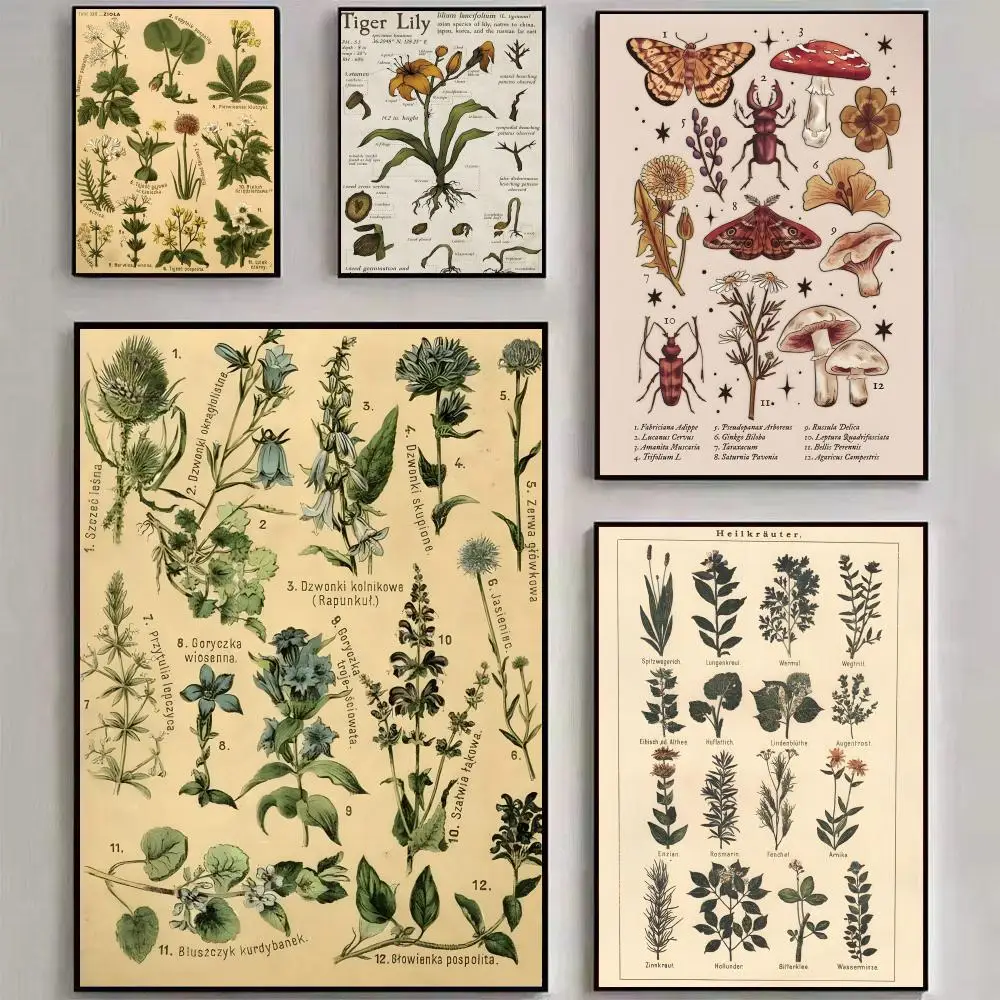 Schmetterling, Insekt, Blume, Pilz, Poster, Wandkunstdruck, geeignet für Wohnzimmer, Schlafzimmer, Bar, Salon, Heimdekoration, Geschenk